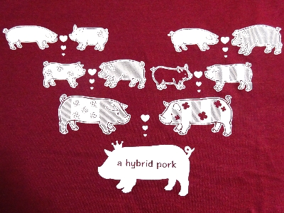 IWisVc@hybrid pork 