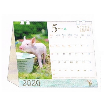 2020 卓上カレンダー LUCKY PIG
