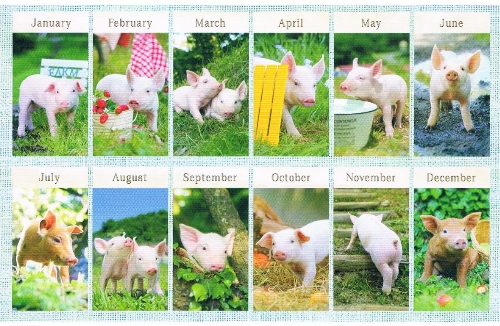 2020 卓上カレンダー LUCKY PIG